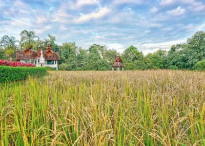 Meditation Retreat in Chiang Mai Thailand